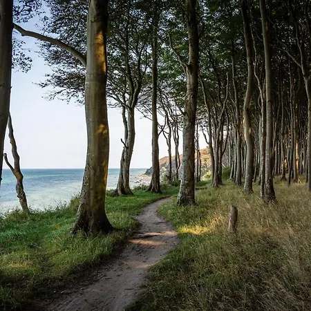 Ferienhaeuschen Kuestenwald Bei Warnemuende, Eigener Garten, Terrasse Mit Strandkorb, 400m Zum * 디에트리히사겐
