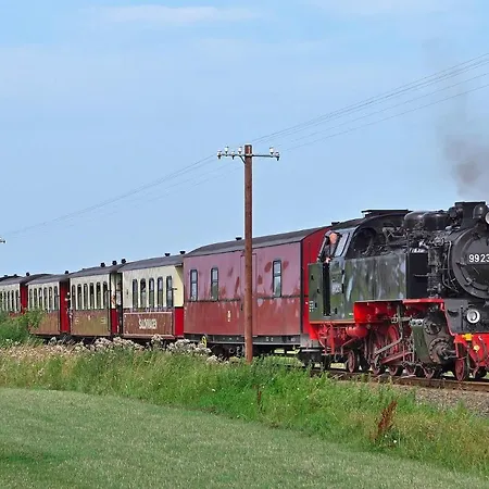 Ferienhaeuschen Kuestenwald Bei Warnemuende, Eigener Garten, Terrasse Mit Strandkorb, 400m Zum 디에트리히사겐